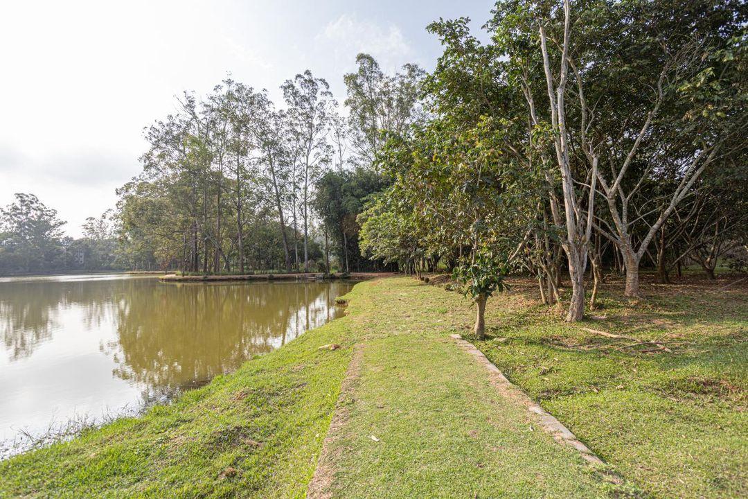 Terreno à venda, 500m² - Foto 20